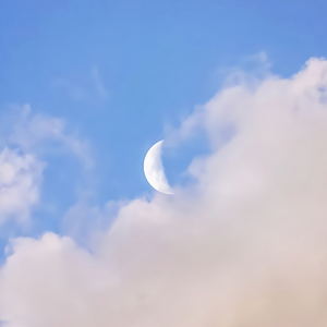 小🐔🐔插进去疯狂柔胸
